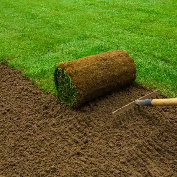 Soil Installation